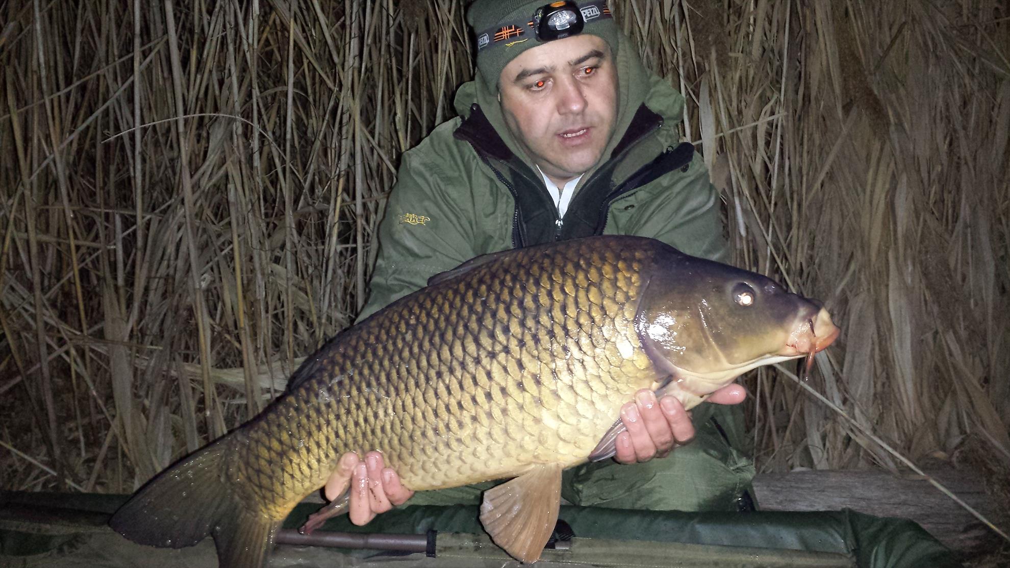 Tancabesti 14 - 16 mar. - 2014-03-14-2346111.jpg